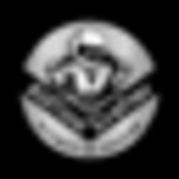 FluxImage.co logo