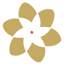 Sota Video AI logo