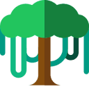Canopy API logo