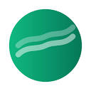 Flect logo