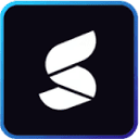 Summize