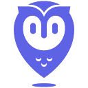PlacerAI logo