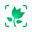 PictureThis logo