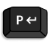 PromptifyPRO logo