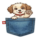 PocketPaw