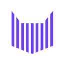 Zebracat