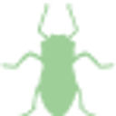 Aphid logo