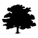 Dorascribe