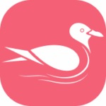 Agent M logo