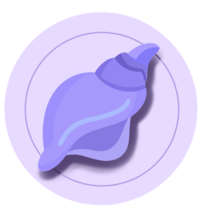 Conch AI logo