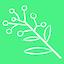 Wattle logo