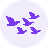 Kamara logo