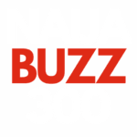 Naijabuzz300 logo