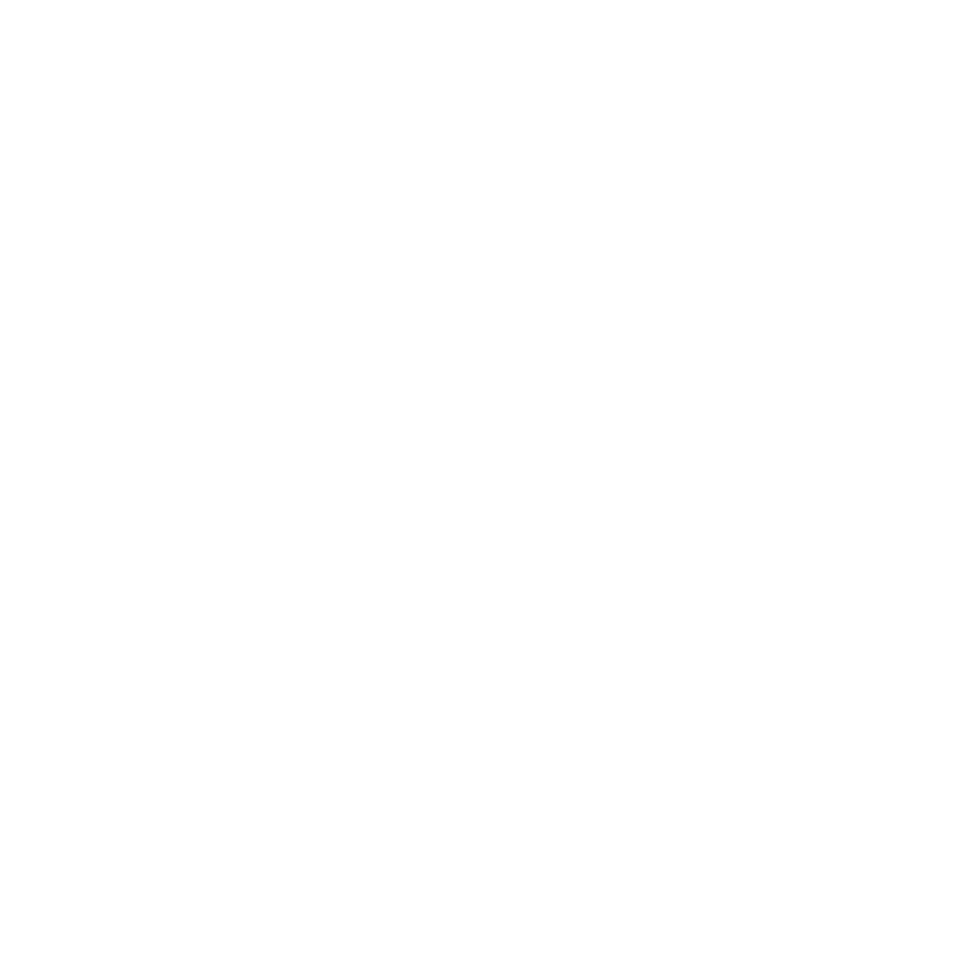 Nex AI logo
