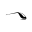 Omnitrain logo