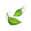 Sage Cooking logo