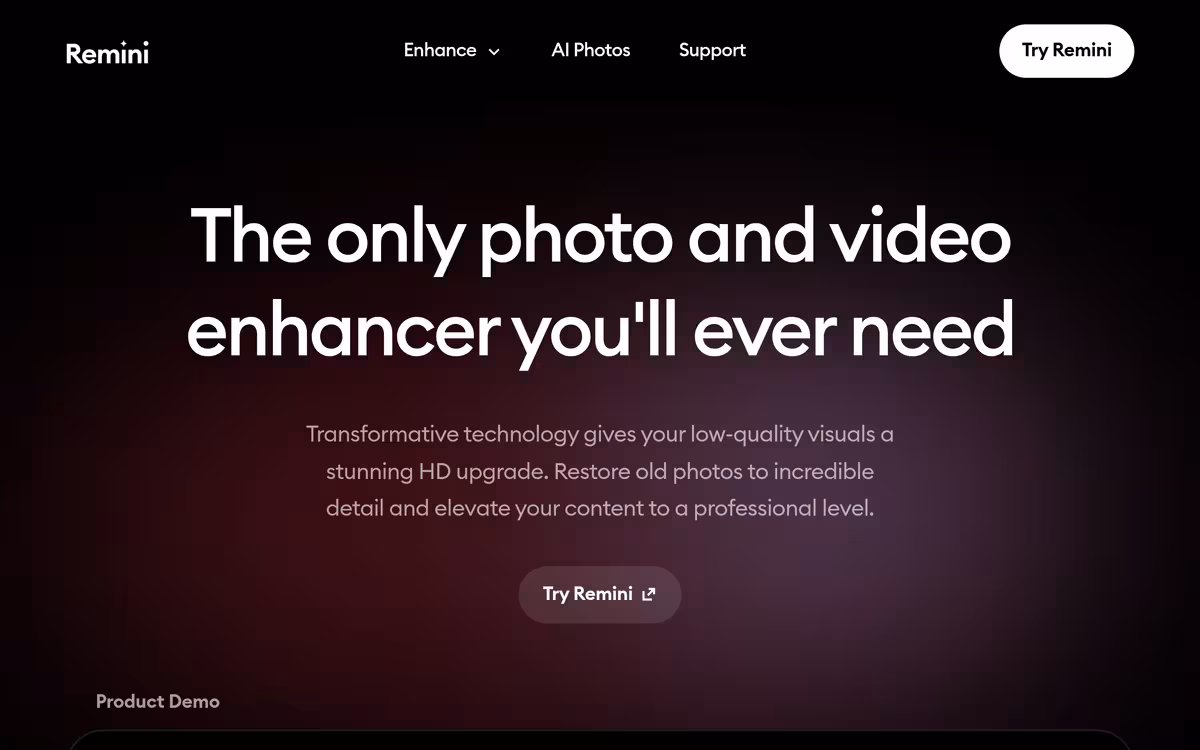 Remini homepage screenshot