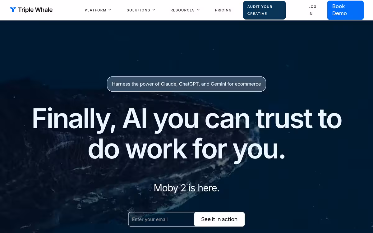 Triple Whale homepage screenshot