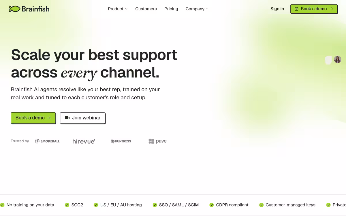 Brainfish homepage screenshot
