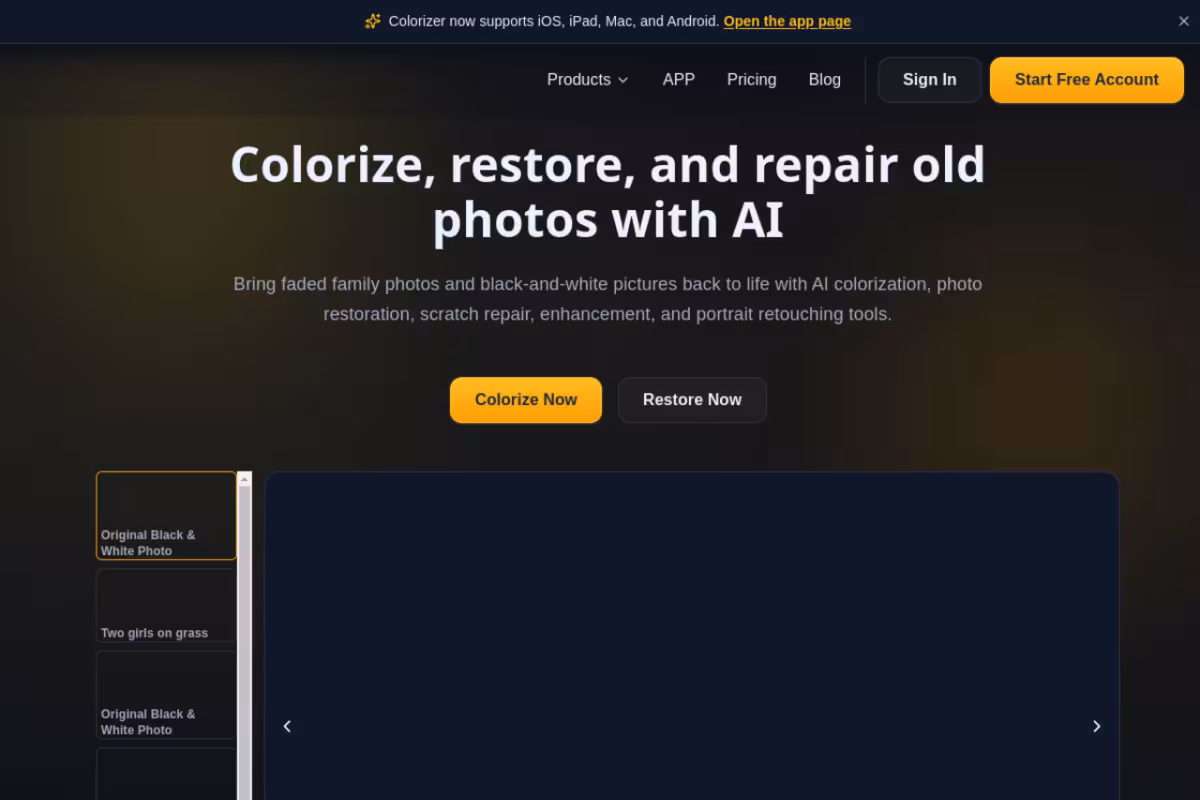 ImageColorizer homepage screenshot