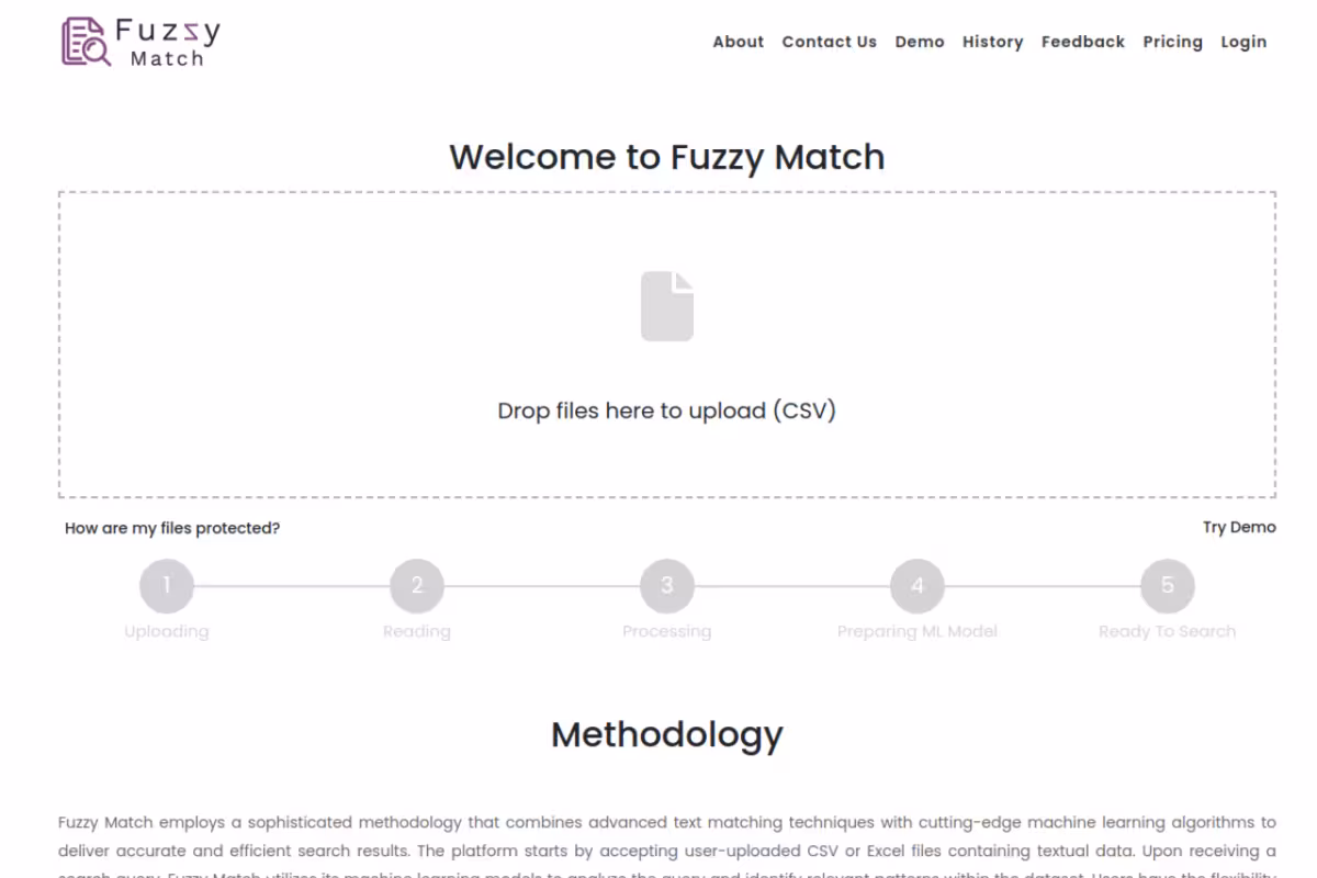Fuzzy Match homepage screenshot