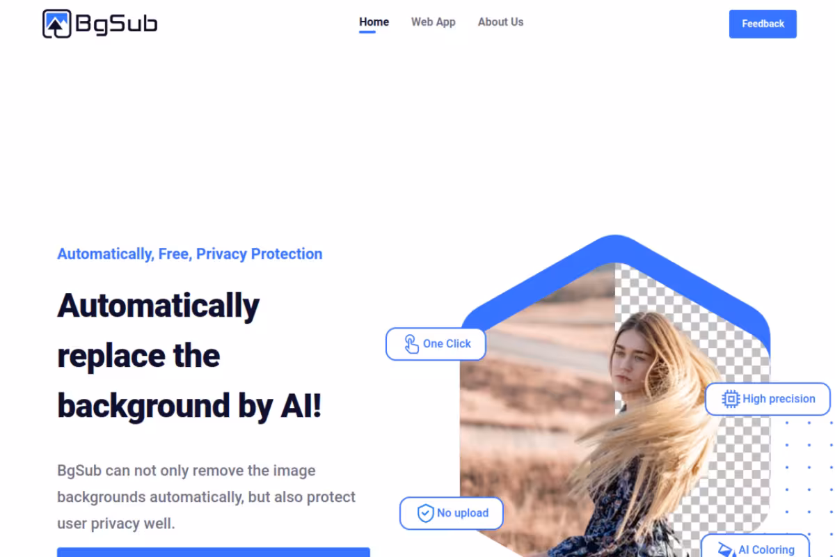 BgSub homepage screenshot