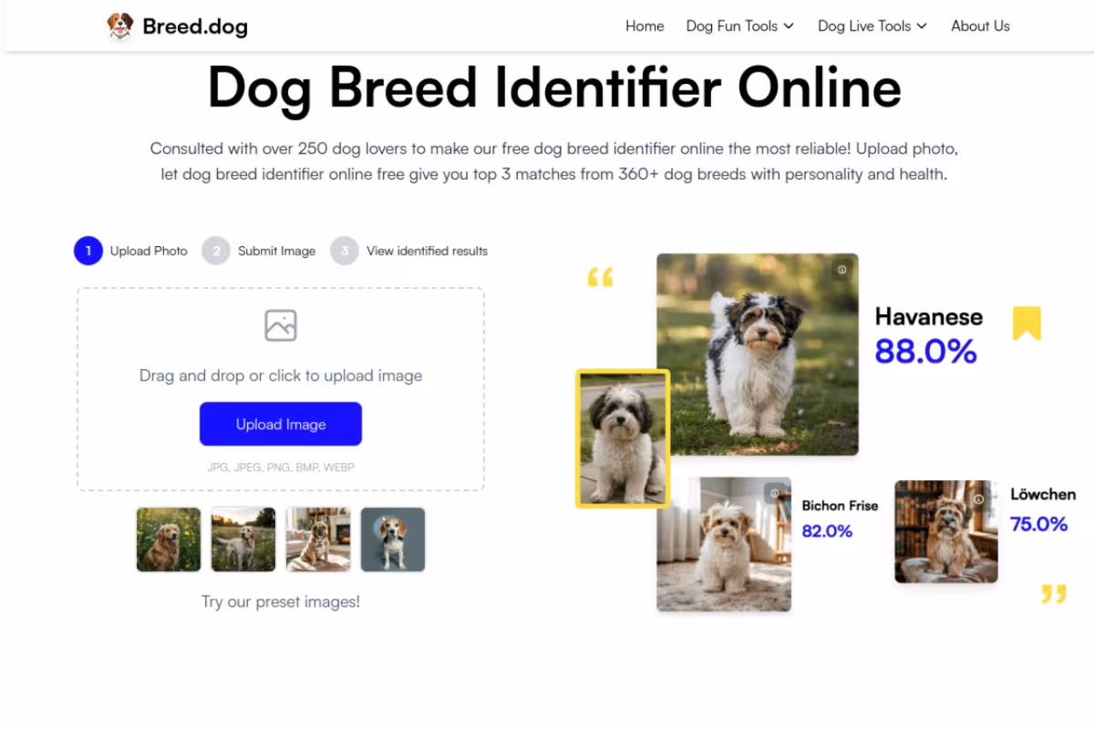 Dog Breed Identifier Online homepage screenshot