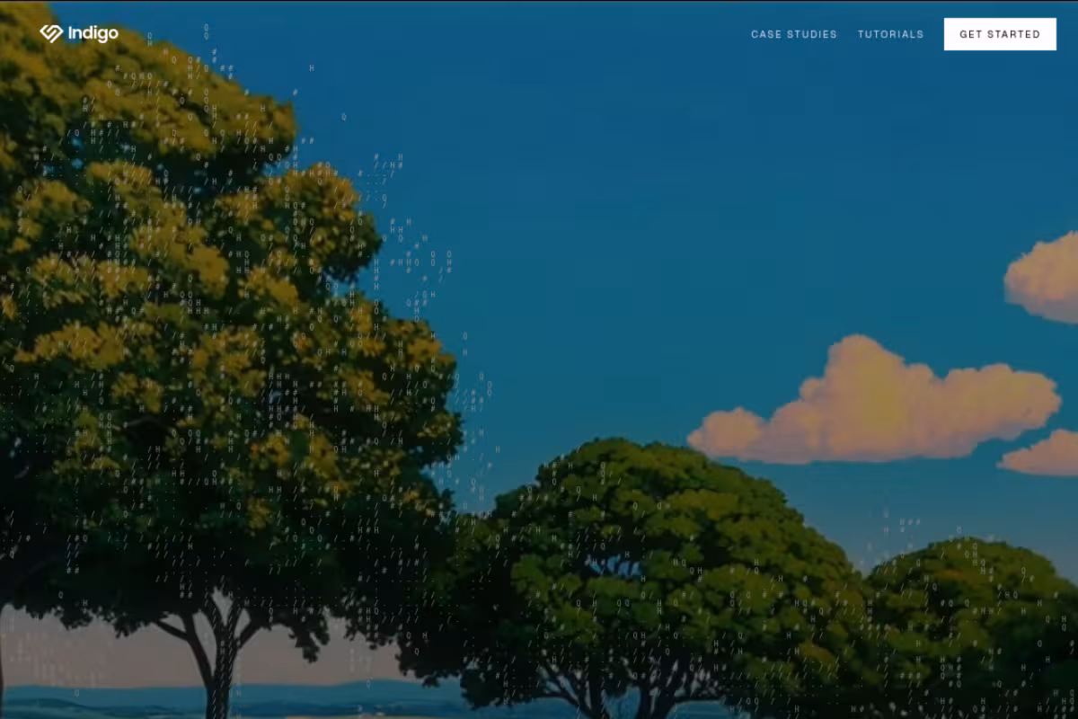 Indigo homepage screenshot