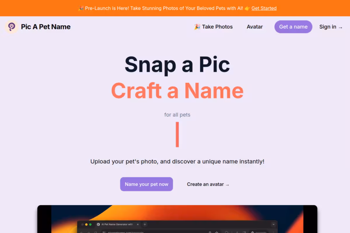 Pic A Pet Name homepage screenshot
