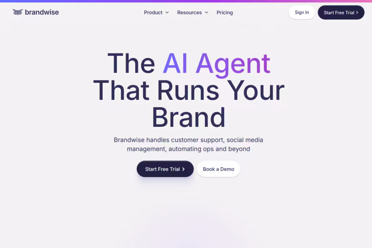 Brandwise homepage screenshot