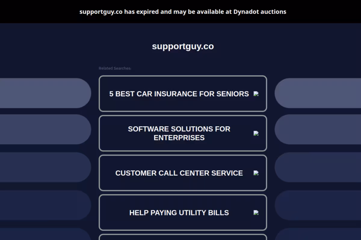 Support Guy homepage screenshot