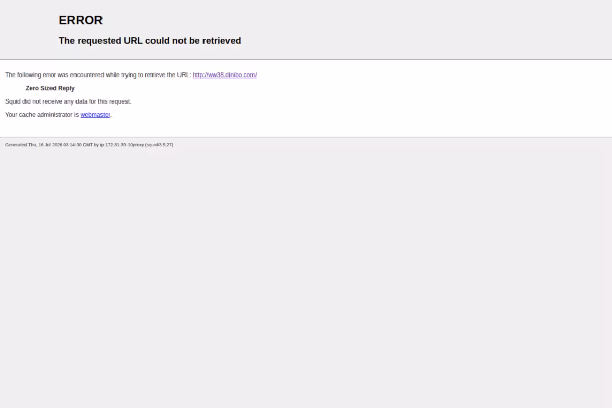 Dinibo homepage screenshot