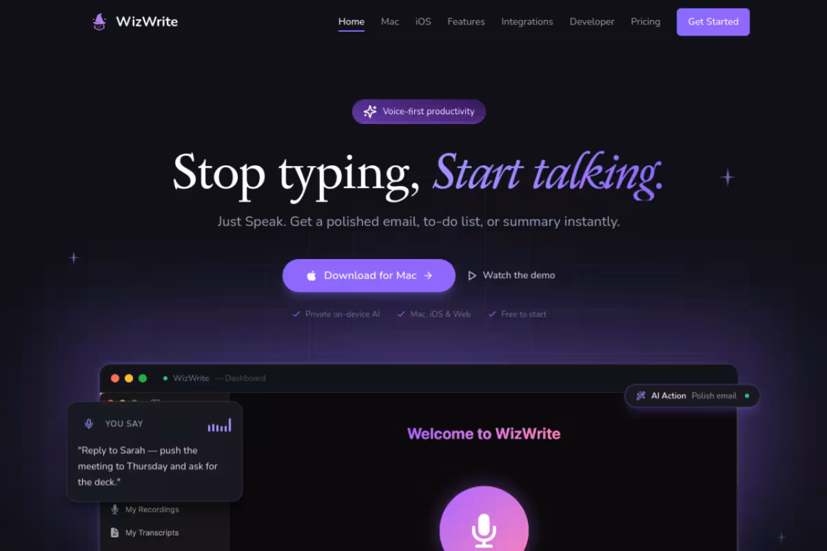 Wiz Write homepage screenshot