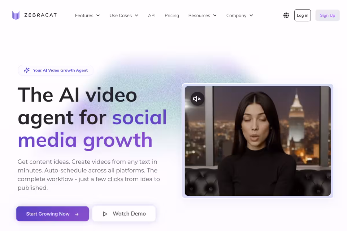Zebracat homepage screenshot
