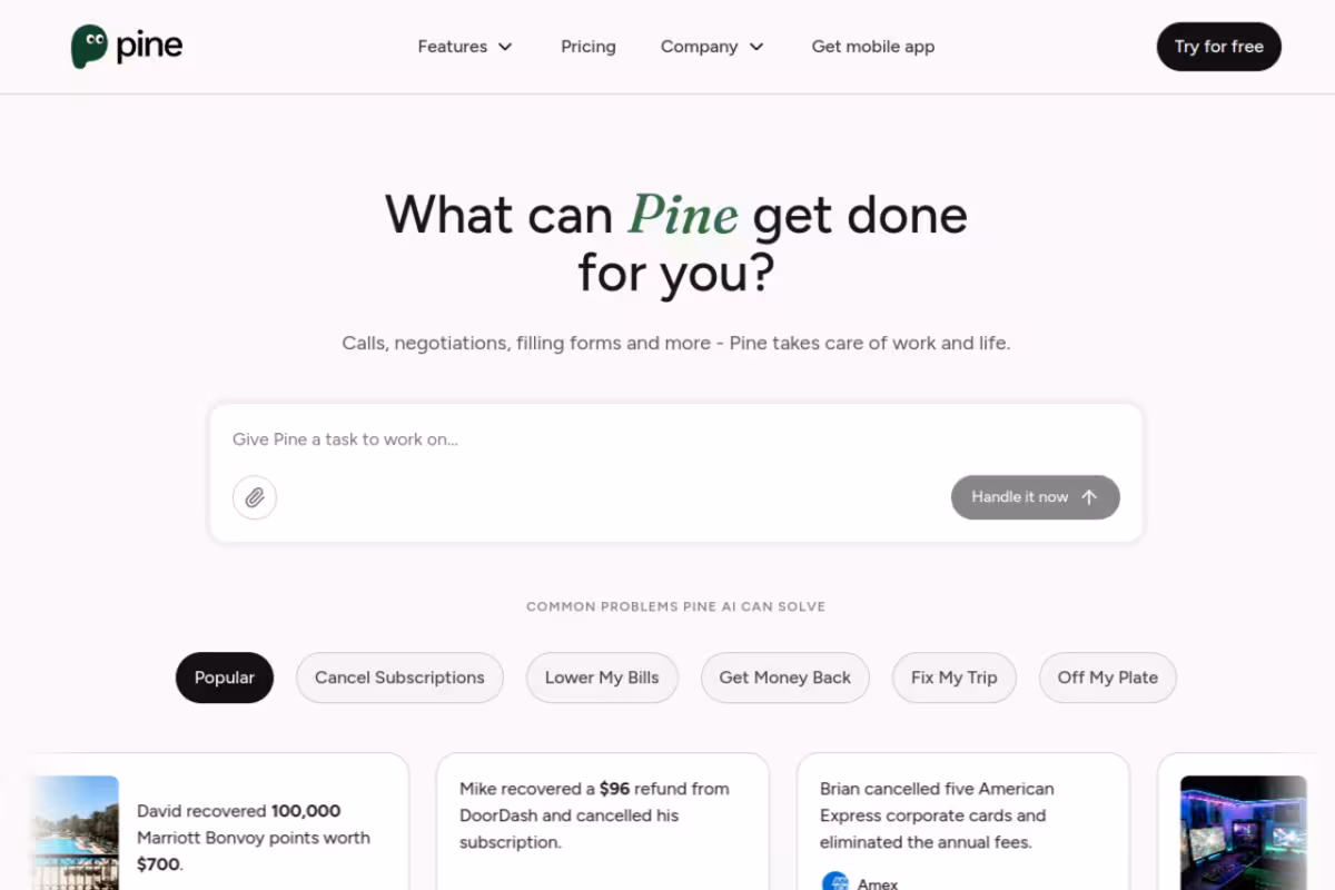 PineAi homepage screenshot