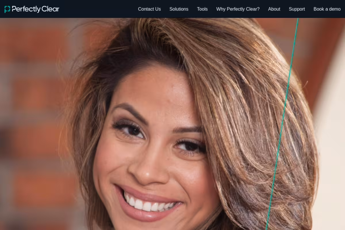 Perfectly Clear homepage screenshot