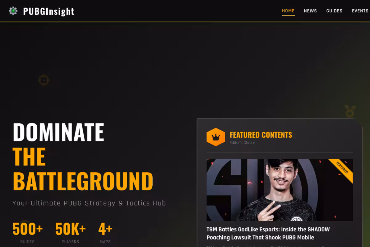 PUBGInsight homepage screenshot