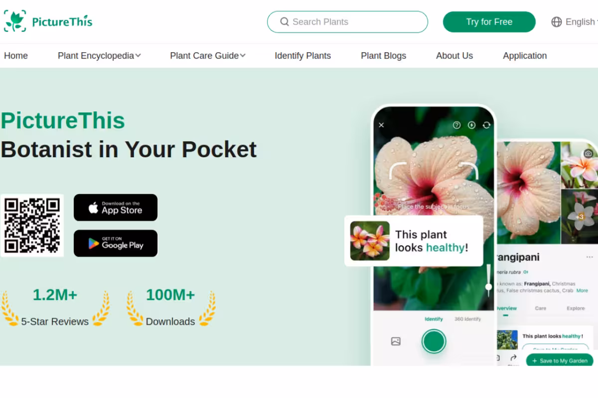 PictureThis homepage screenshot
