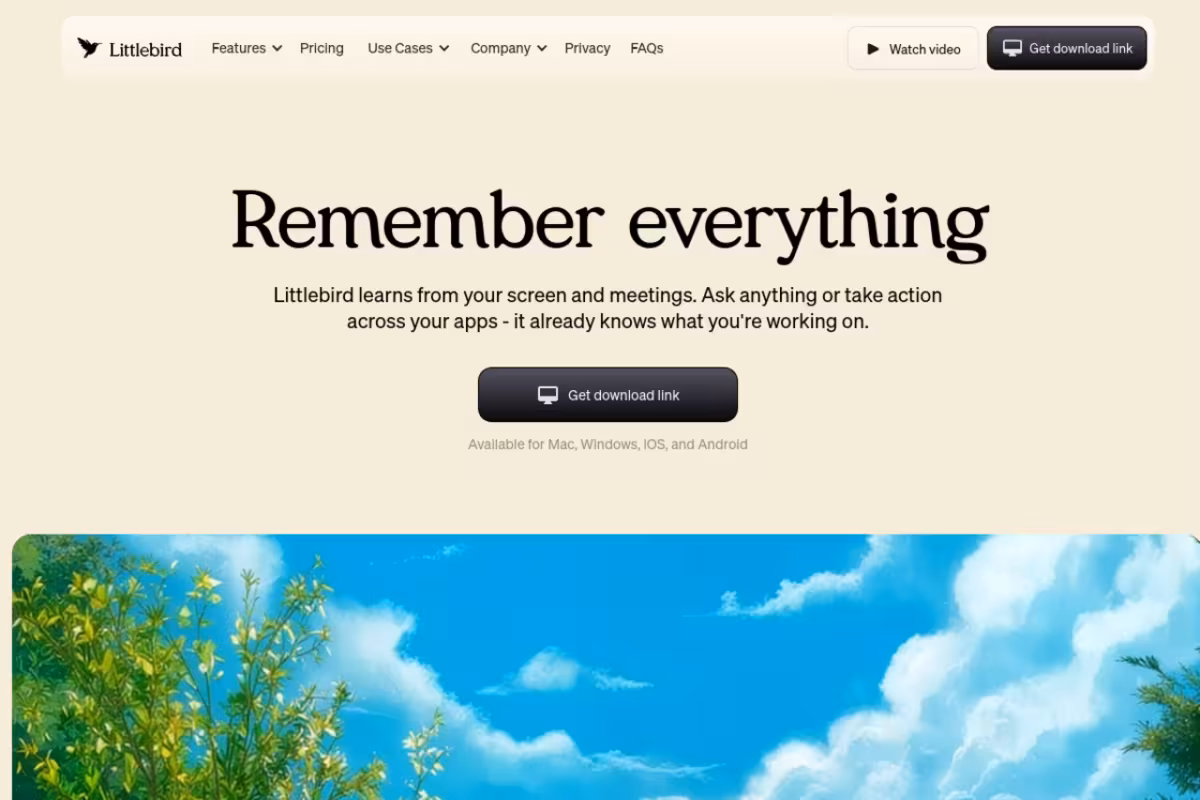Littlebird homepage screenshot