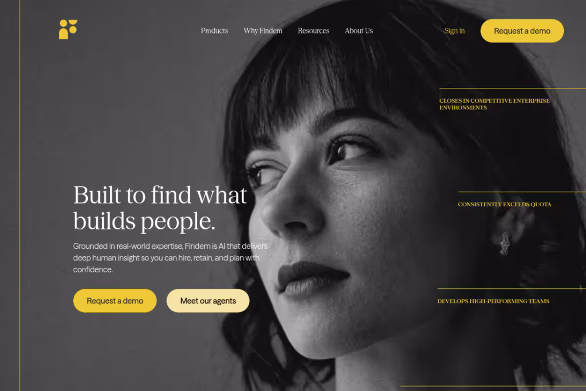 Findem homepage screenshot