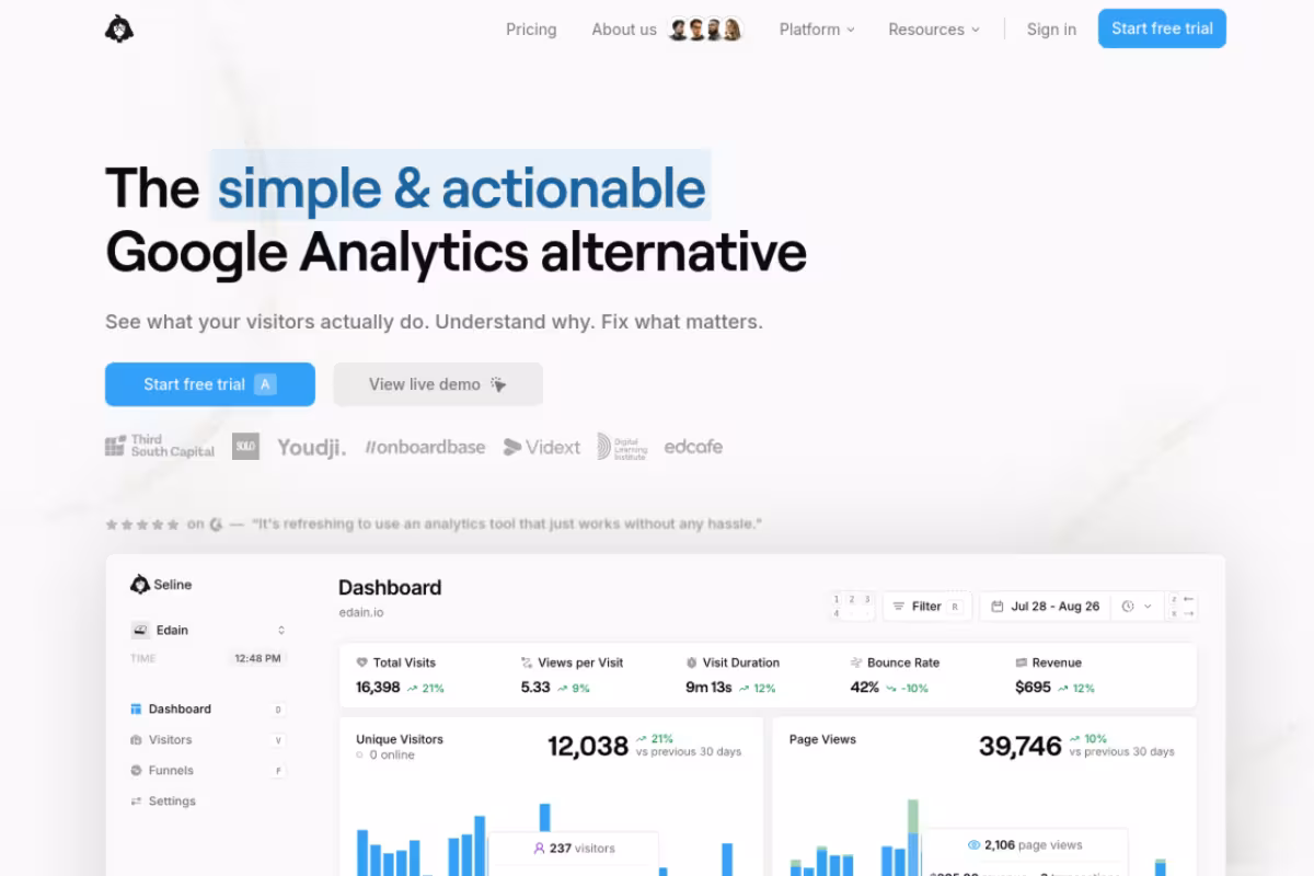 Seline Analytics homepage screenshot