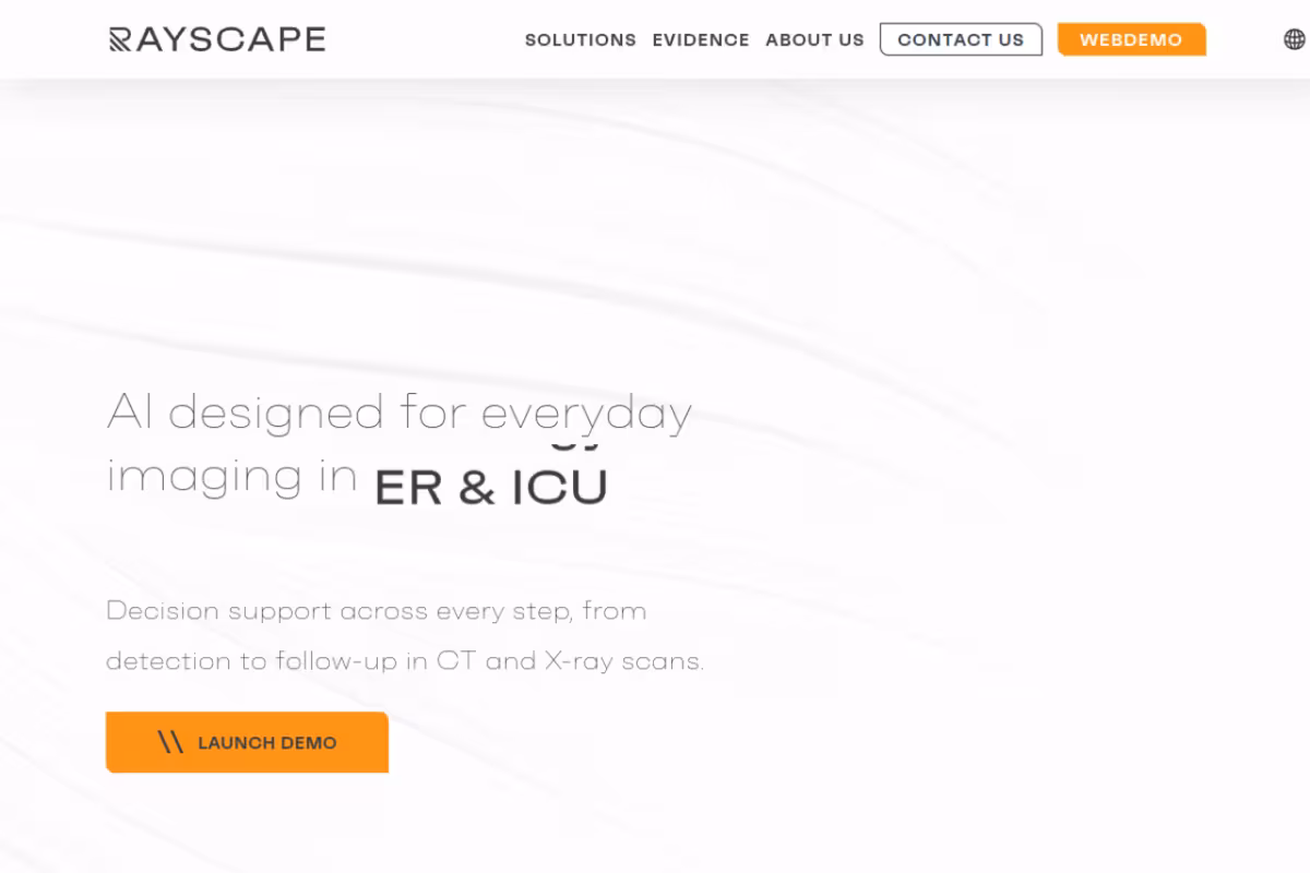 Rayscape homepage screenshot