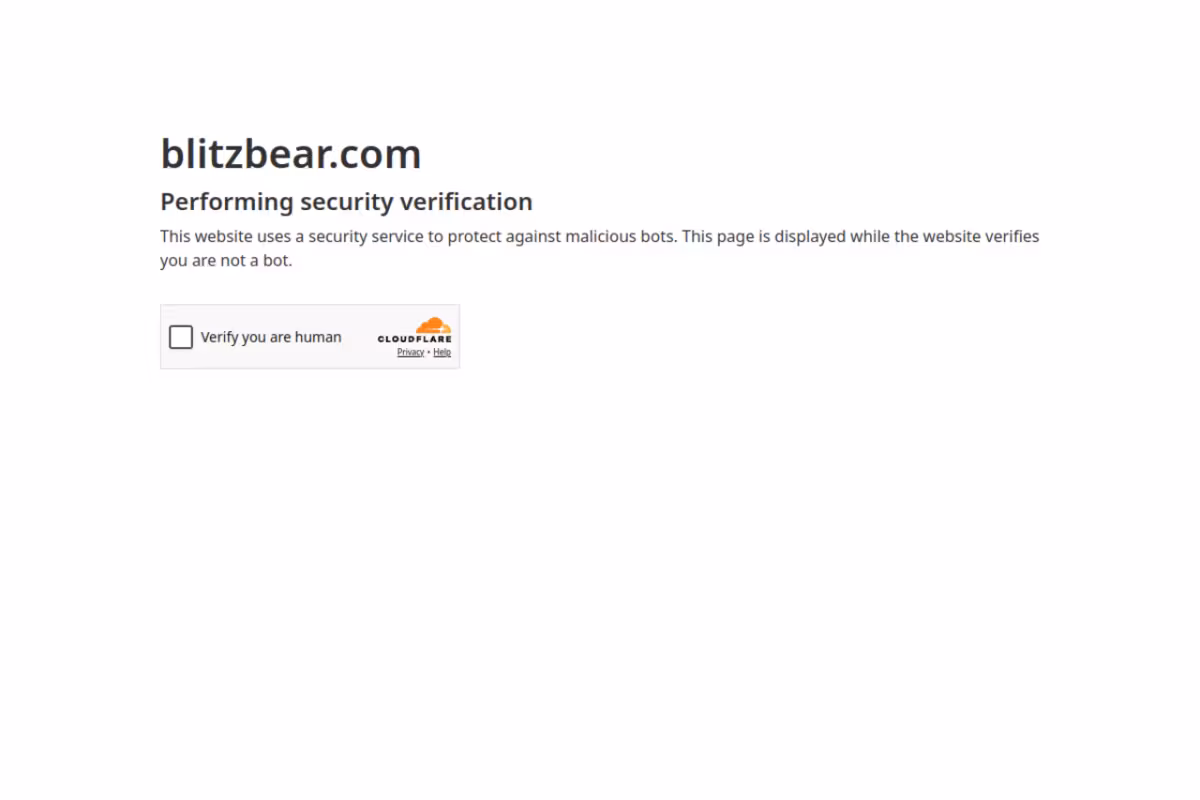 BlitzBear homepage screenshot
