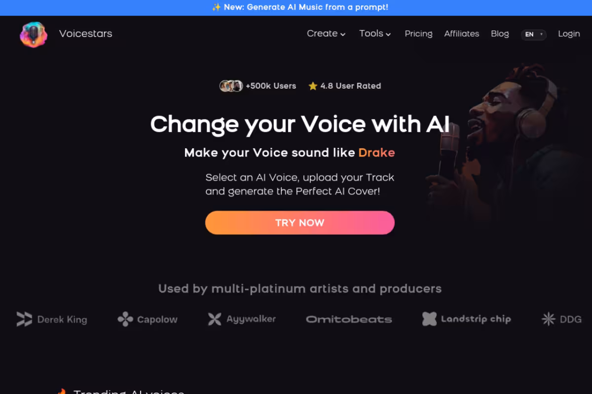 Voicestars homepage screenshot