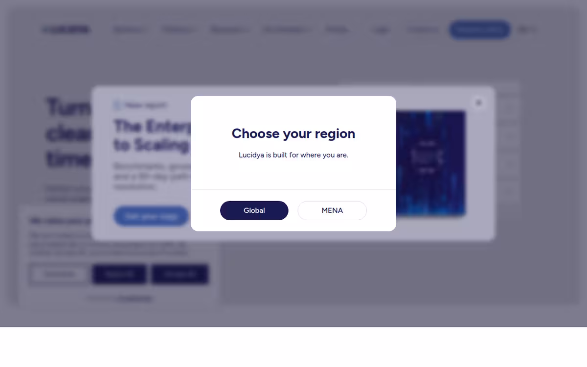 Lucidya homepage screenshot