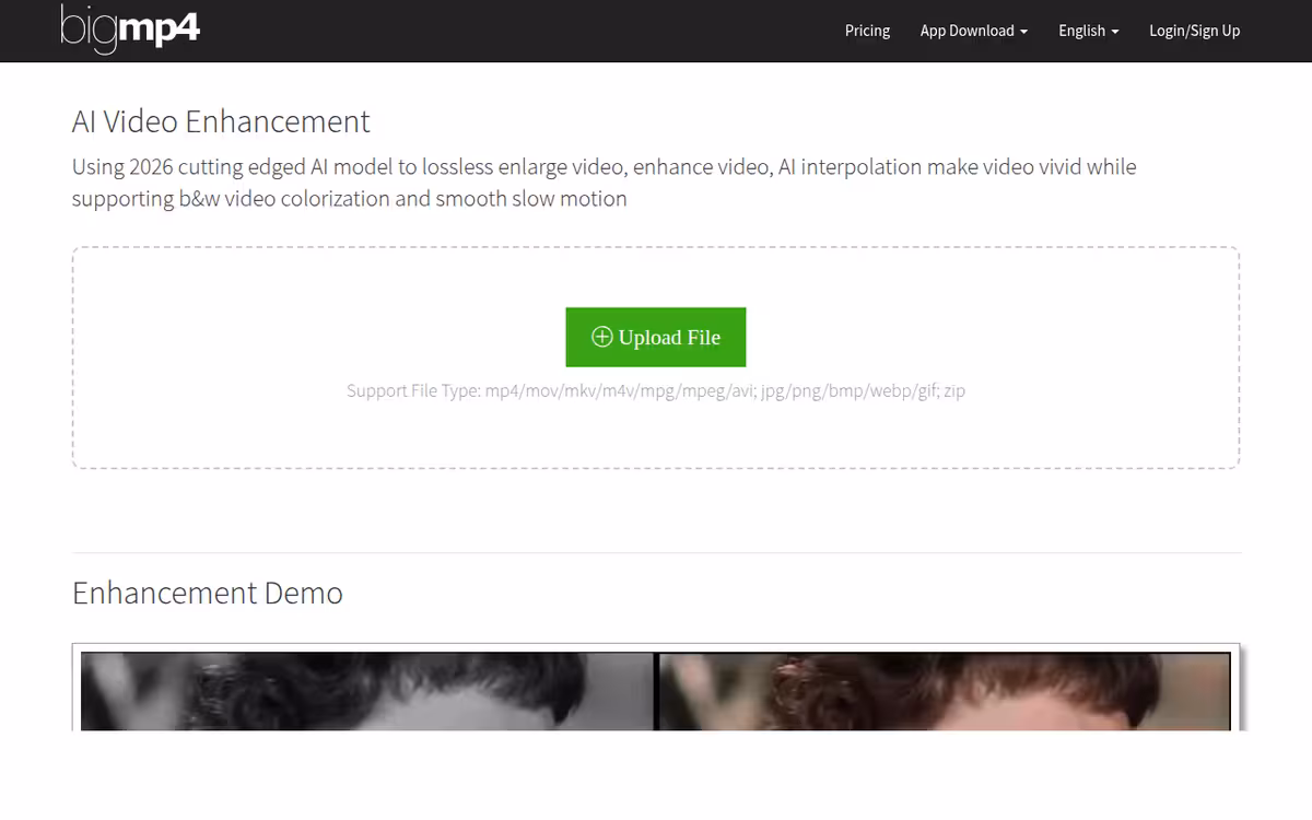 bigmp4 homepage screenshot