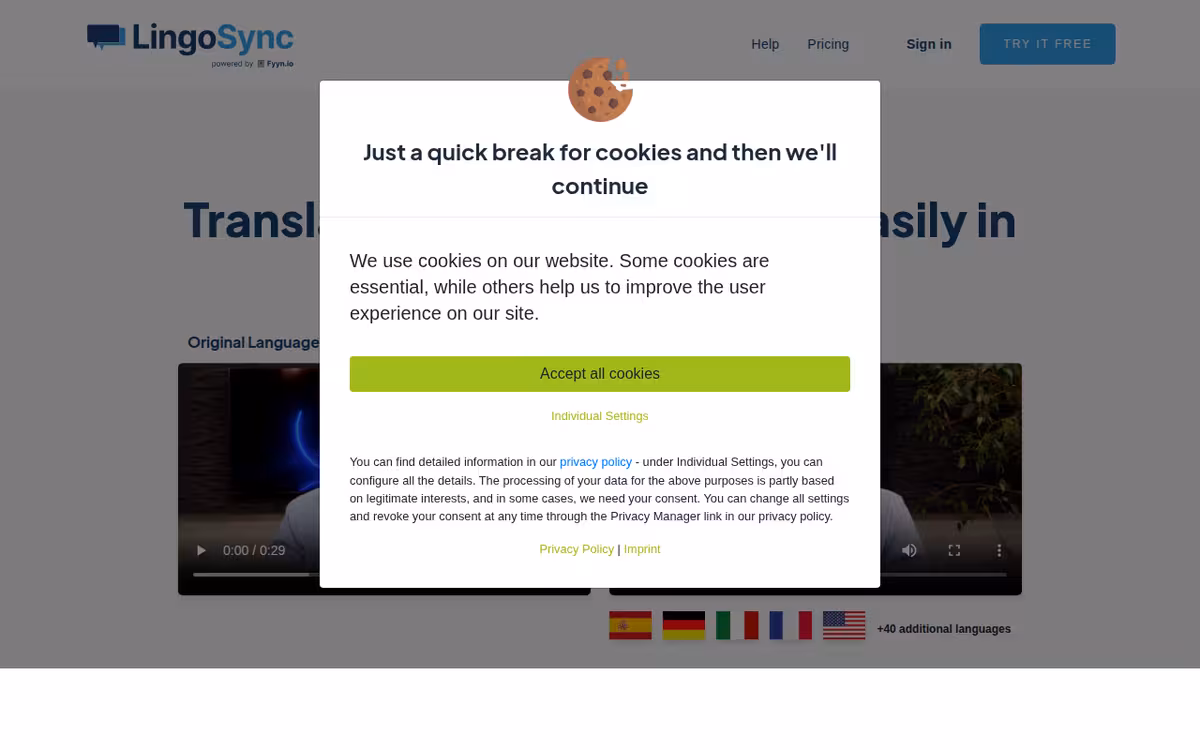 Lingosync homepage screenshot