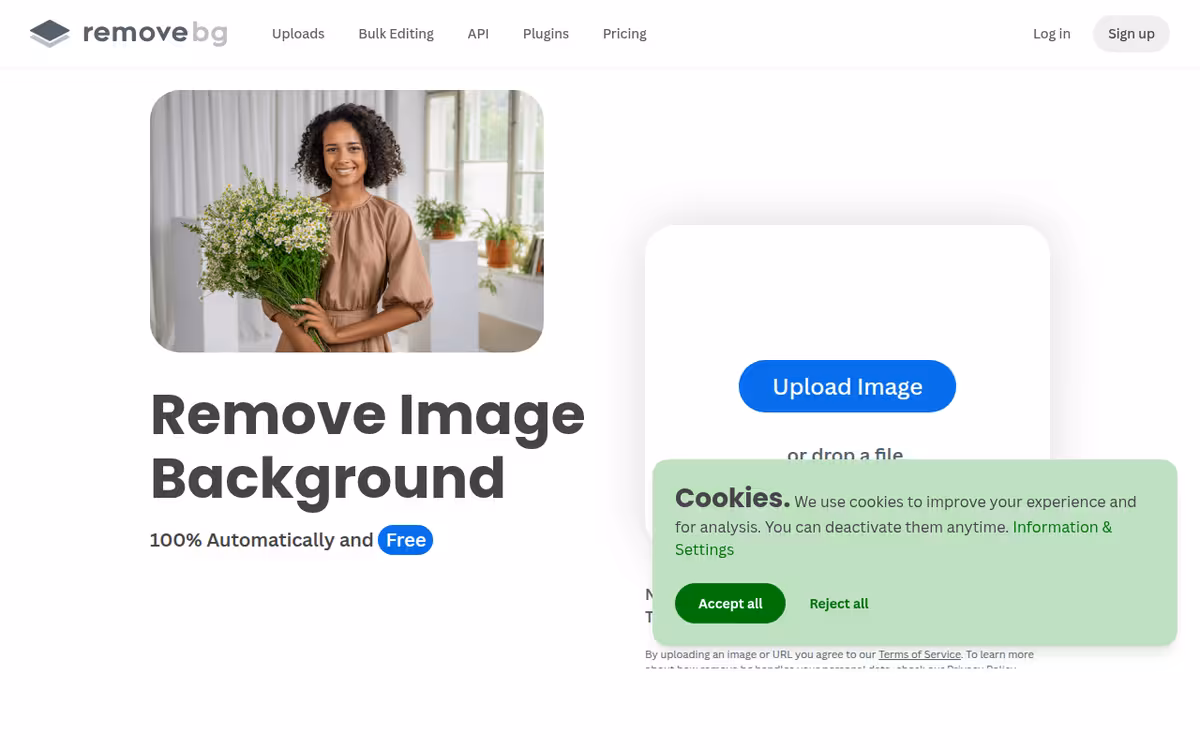 Remove-BG.AI homepage screenshot