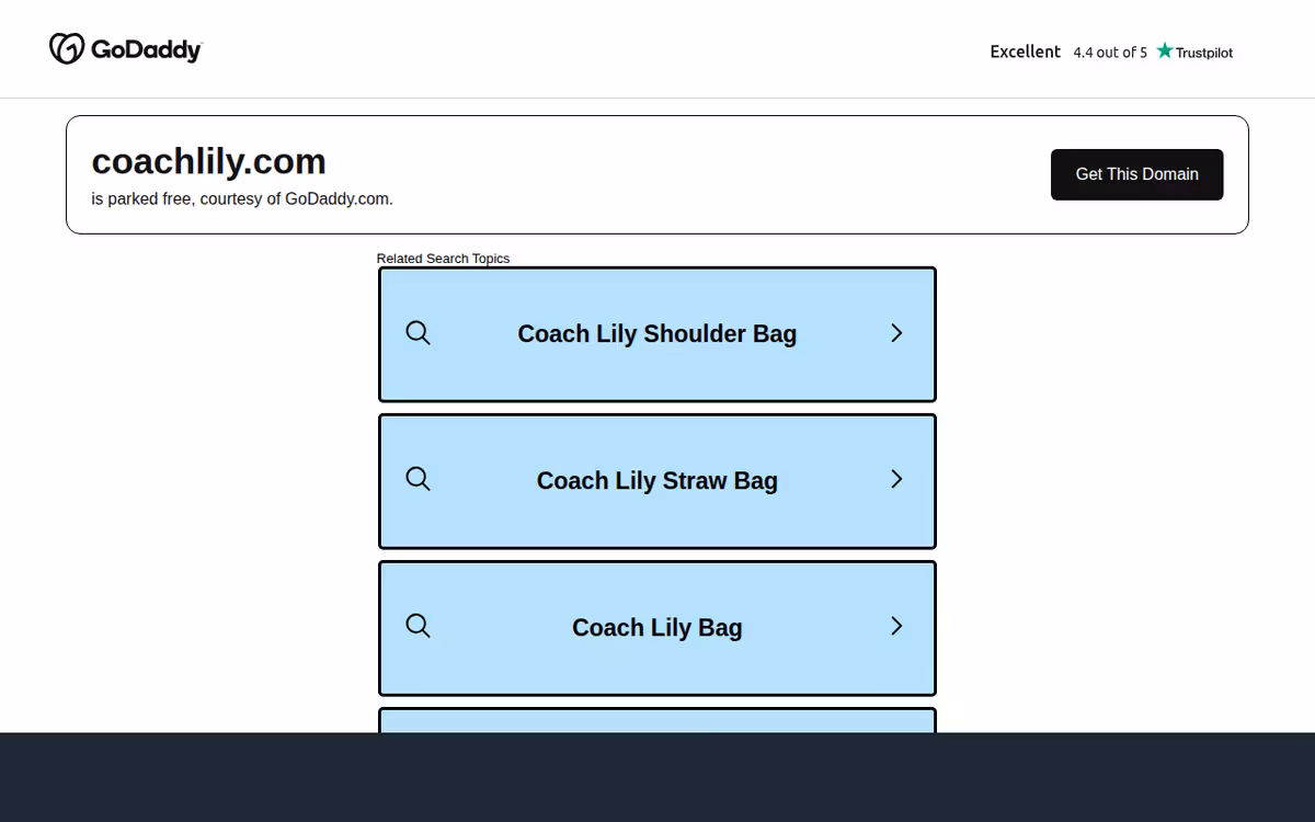 Coach Lily homepage screenshot