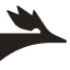 Solidroad logo